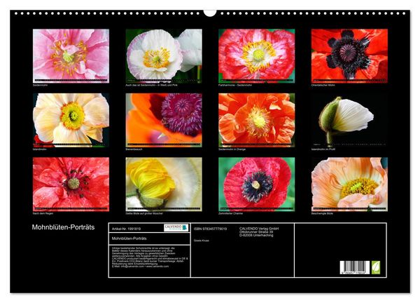 Produktbild: Mohnbl&uuml;ten-Portr&auml;ts (Wandkalender 2026 DIN A2 quer), CALVENDO Monatskalender