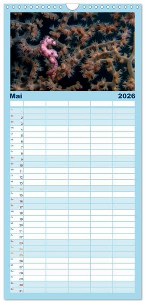 Produktbild: Familienplaner 2026 - Hippocampus oder einfach nur Seepferdchen mit 5 Spalten (Wandkalender, 21 x 45 cm) CALVENDO
