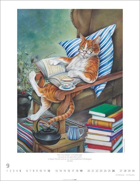 Produktbild: Schnurren und Kratzen - Bilder von Katzen Kalender 2027