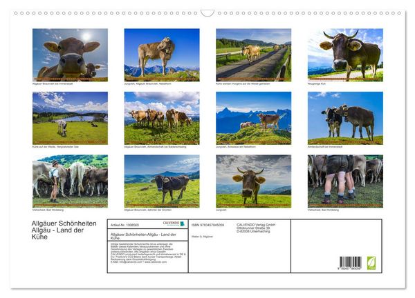 Produktbild: Allg&auml;uer Sch&ouml;nheiten Allg&auml;u - Land der K&uuml;he (Wandkalender 2026 DIN A2 quer), CALVENDO Monatskalender
