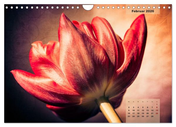 Produktbild: Bl&uuml;ten im Retro-Style (Wandkalender 2026 DIN A4 quer), CALVENDO Monatskalender