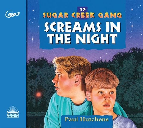 Produktbild: Screams in the Night