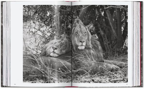 Produktbild: Sebasti&atilde;o Salgado