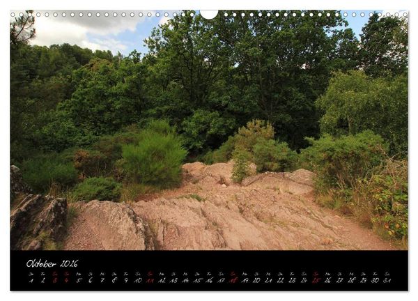 Produktbild: Broc&eacute;liande / Zauberwald der Bretagne (Wandkalender 2026 DIN A3 quer), CALVENDO Monatskalender