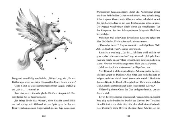 Produktbild: Resa und die Hexentiere (Band 1)