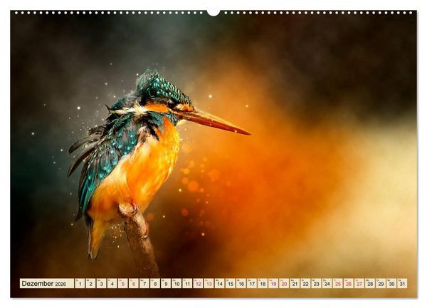 Produktbild: Wundersch&ouml;ner Eisvogel (hochwertiger Premium Wandkalender 2026 DIN A2 quer), Kunstdruck in Hochglanz