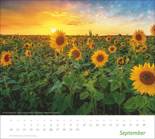 Produktbild: times&more Sonnige Momente Bildkalender 2027
