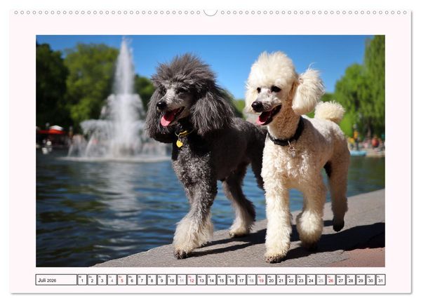 Produktbild: Pudel in der Stadt. Urbane Momente voller Charme und Lebensfreude (hochwertiger Premium Wandkalender 2026 DIN A2 quer), Kunstdruck in Hochglanz