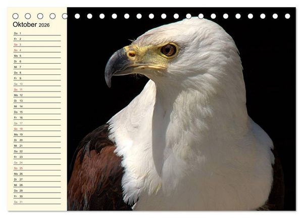 Produktbild: Greifv&ouml;gel (Tischkalender 2026 DIN A5 quer), CALVENDO Monatskalender