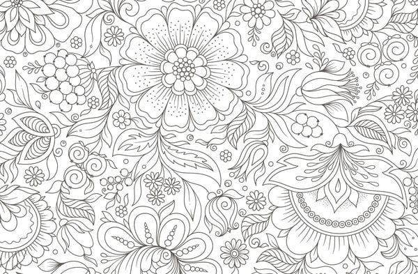 Produktbild: Colorful Mandala &ndash; Botanischer Garten