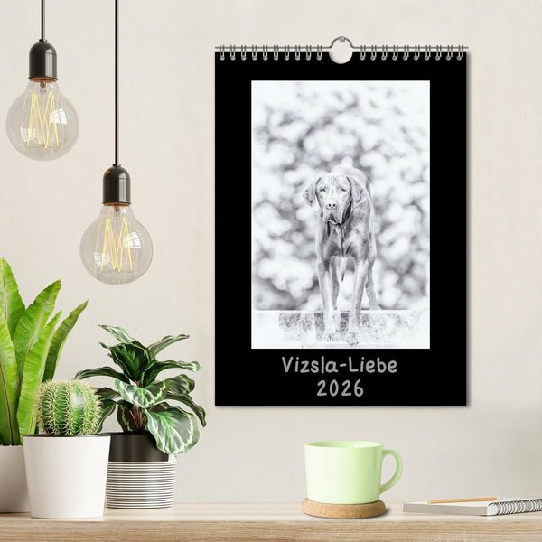 Produktbild: Vizsla-Liebe (Wandkalender 2026 DIN A4 hoch), CALVENDO Monatskalender