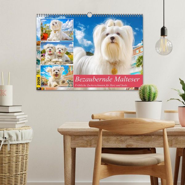 Produktbild: Bezaubernde Malteser. Fr&ouml;hliche Zuckerschnuten f&uuml;r Herz und Seele (Wandkalender 2026 DIN A3 quer), CALVENDO Monatskalender