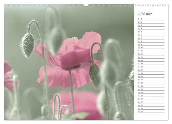 Produktbild: Blumenfreude Terminkalender (hochwertiger Premium Wandkalender 2027 DIN A2 quer), Kunstdruck in Hochglanz