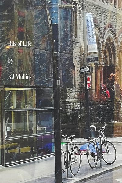 Produktbild: Bits of Life