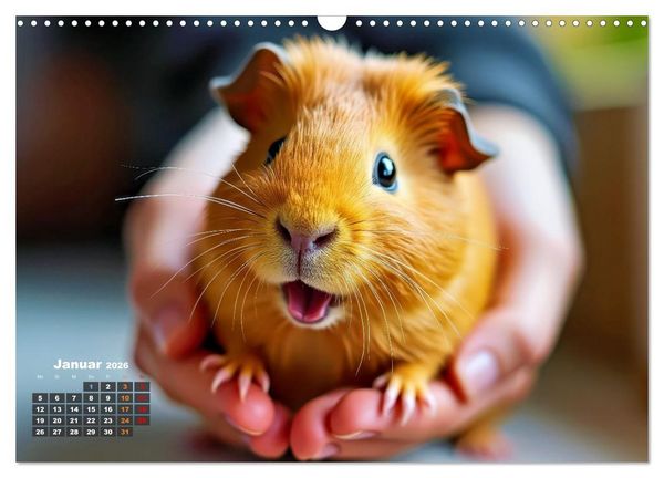 Produktbild: S&uuml;&szlig;e Meerschweinchen (Wandkalender 2026 DIN A3 quer), CALVENDO Monatskalender