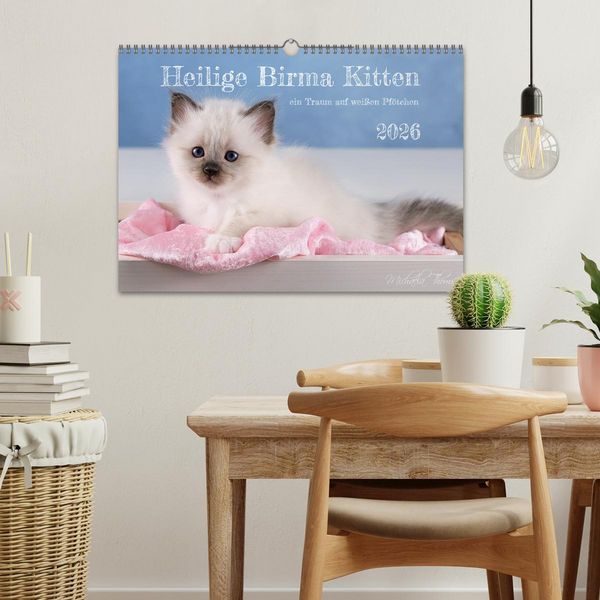 Produktbild: Heilige Birma Kitten - ein Traum auf wei&szlig;en Pf&ouml;tchen (Wandkalender 2026 DIN A3 quer), CALVENDO Monatskalender