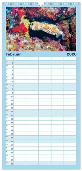 Produktbild: Familienplaner 2026 - Geheimnisvolle Welt unter Wasser - Nachts am Riff mit 5 Spalten (Wandkalender, 21 x 45 cm) CALVENDO