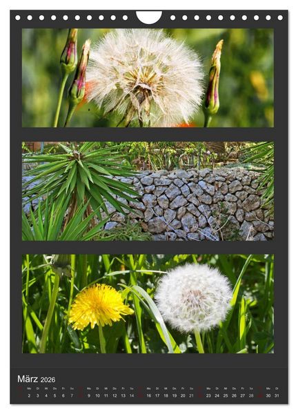Produktbild: Naturfarben entdecken (Wandkalender 2026 DIN A4 hoch), CALVENDO Monatskalender