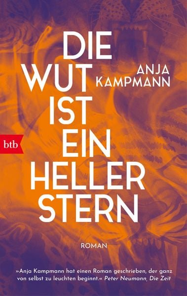 Produktbild: Die Wut ist ein heller Stern