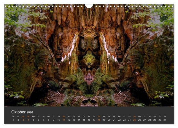 Produktbild: Spiegelwelten - Im Reich der Naturwesen (Wandkalender 2026 DIN A3 quer), CALVENDO Monatskalender