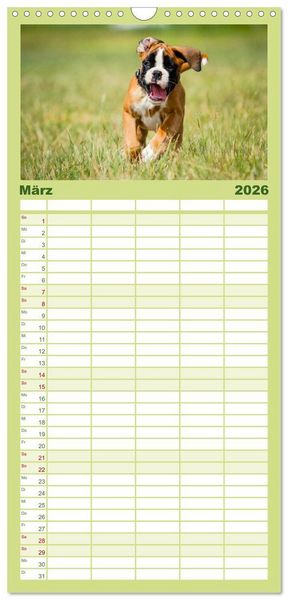 Produktbild: Familienplaner 2026 - Wenn ich gro&szlig; bin werd' ich Boxer mit 5 Spalten (Wandkalender, 21 x 45 cm) CALVENDO