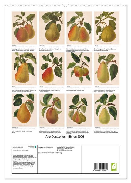 Produktbild: Alte Obstsorten - Birnen 2026 (hochwertiger Premium Wandkalender 2026 DIN A2 hoch), Kunstdruck in Hochglanz