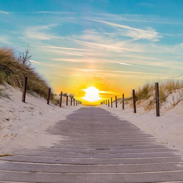 Produktbild: Strand und Meer / Beach and Sea 2027