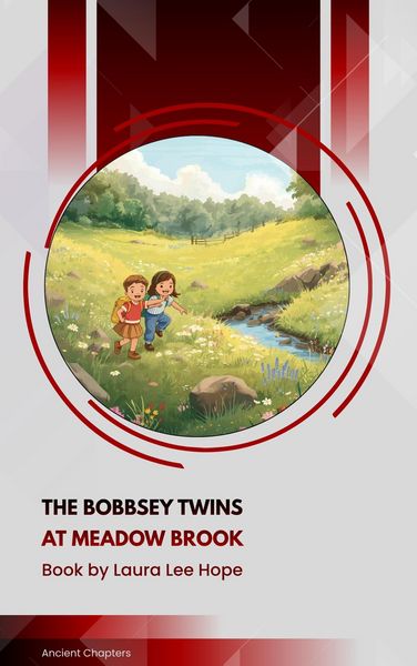 Produktbild: The Bobbsey Twins at Meadow Brook