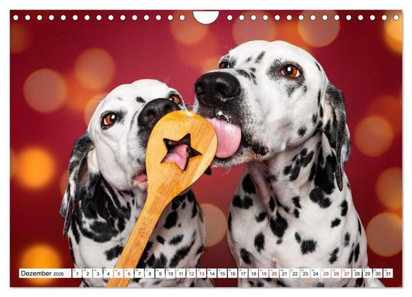 Produktbild: Hunde im Naschparadies (Wandkalender 2026 DIN A4 quer), CALVENDO Monatskalender