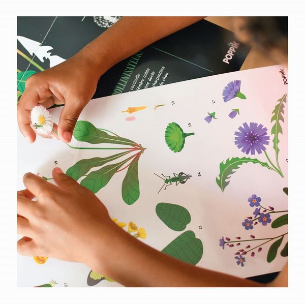 Produktbild: POPPIK - Lernposter & Sticker Botanik