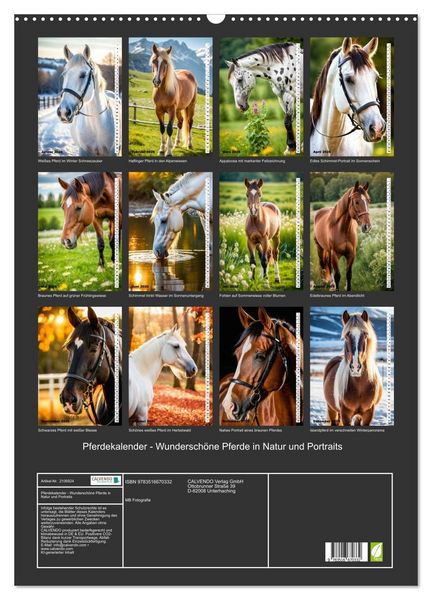 Produktbild: Pferdekalender - Wundersch&ouml;ne Pferde in Natur und Portraits (Wandkalender 2026 DIN A2 hoch), CALVENDO Monatskalender