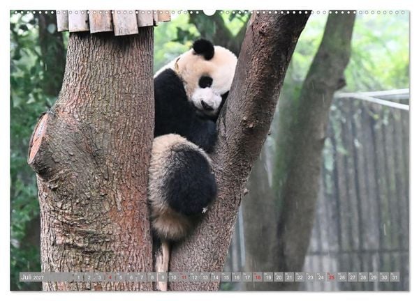 Produktbild: Erlebnis China (Wandkalender 2027 DIN A2 quer), CALVENDO Monatskalender