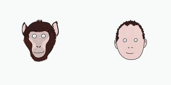 Produktbild: BiBiBiber hat da mal 'ne Frage. Warum k&ouml;nnen Babys nix? Leben & Tiere