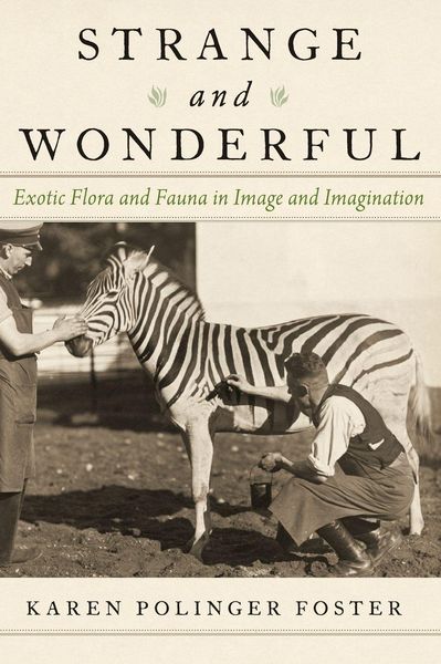 Produktbild: Strange and Wonderful