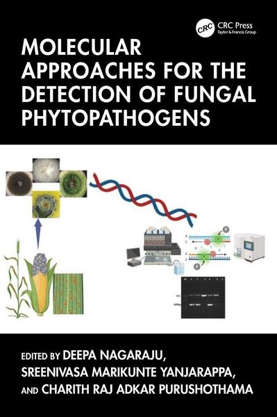 Produktbild: Molecular Approaches for the Detection of Fungal Phytopathogens