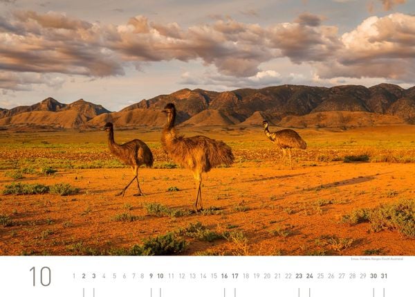 Produktbild: Australien Exklusivkalender 2027
