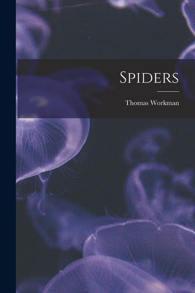 Produktbild: Spiders