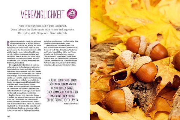 'Durch Gärtnern zur Achtsamkeit' von 'Lars Weigelt' Buch '9783