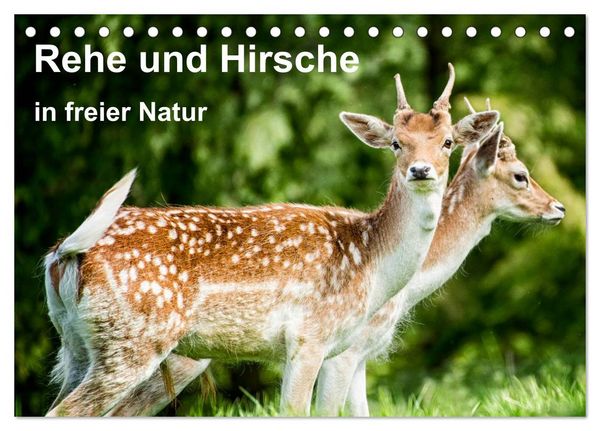 Rehe und Hirsche in freier Natur (Tischkalender 2026 DIN A5 quer), CALVENDO Monatskalender