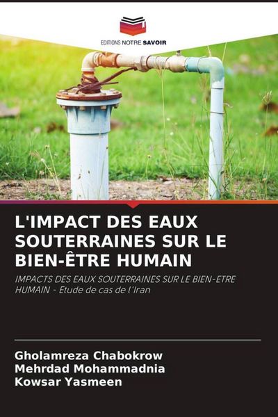 Produktbild: L'impact des Eaux Souterraines Sur Le Bien-&Ecirc;tre Humain