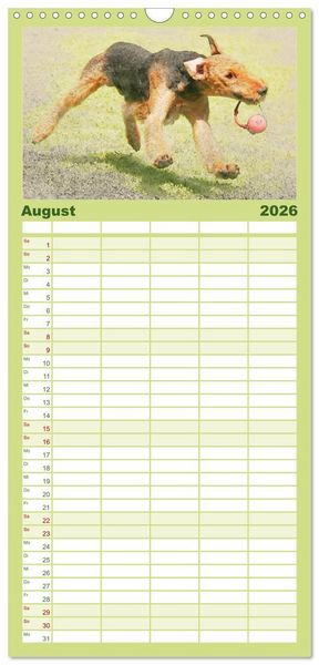 Produktbild: Familienplaner 2026 - Airedale Terrier 2026 mit 5 Spalten (Wandkalender, 21 x 45 cm) CALVENDO
