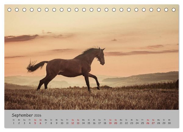 Produktbild: Spiegel deiner Seele (Tischkalender 2026 DIN A5 quer), CALVENDO Monatskalender