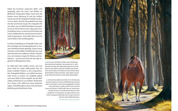 Produktbild: Haustiere perfekt fotografieren