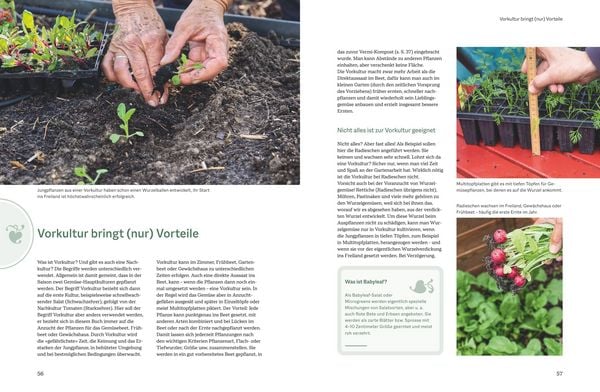 Produktbild: Der optimale Gem&uuml;segarten