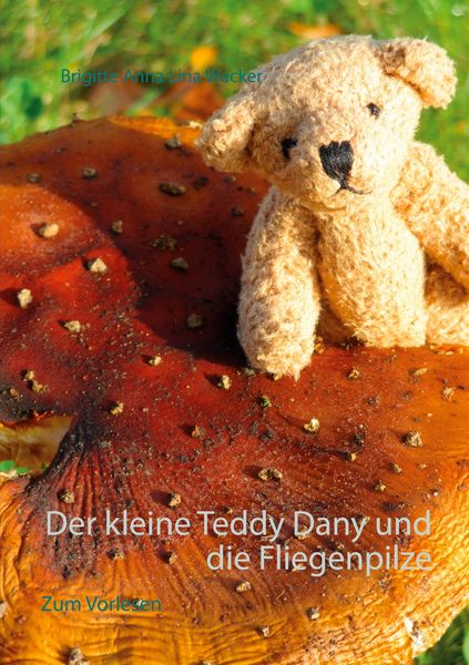 Produktbild: Der kleine Teddy Dany und die Fliegenpilze