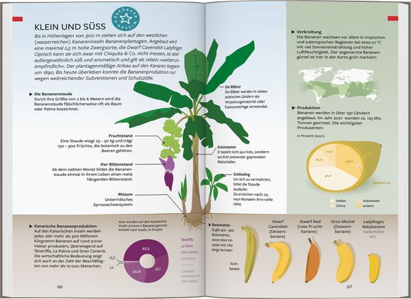 Produktbild: Baedeker Reisef&uuml;hrer Gran Canaria