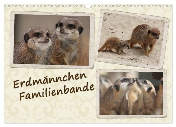 Produktbild: Erdm&auml;nnchen Familienbande (Wandkalender 2026 DIN A3 quer), CALVENDO Monatskalender