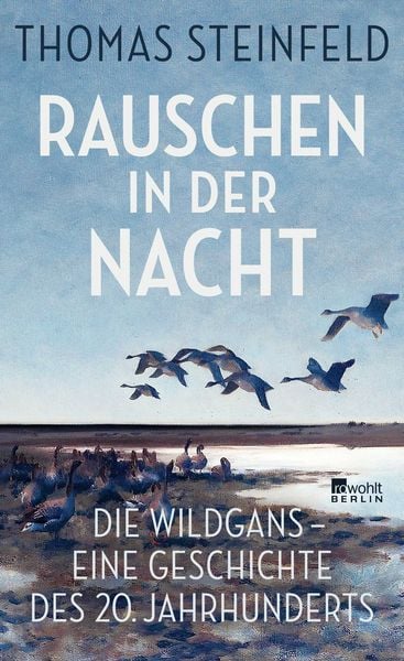 Rauschen in der Nacht, Gebundene Ausgabe von Thomas Steinfeld, Rowohlt Berlin, 978-3-7371-0197-4