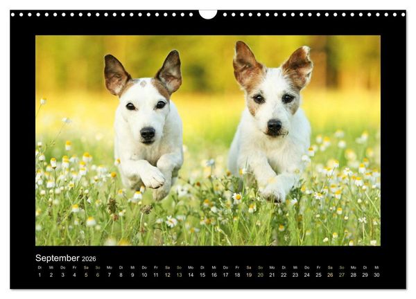 Produktbild: Die Parsons (Wandkalender 2026 DIN A3 quer), CALVENDO Monatskalender