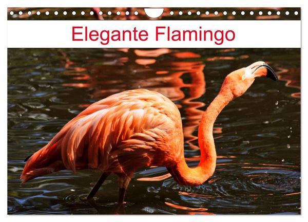 Produktbild: Elegante Flamingo (Wandkalender 2026 DIN A4 quer), CALVENDO Monatskalender